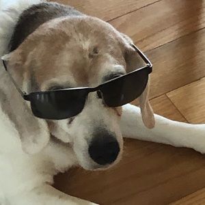 Meet your Posher, Aaron